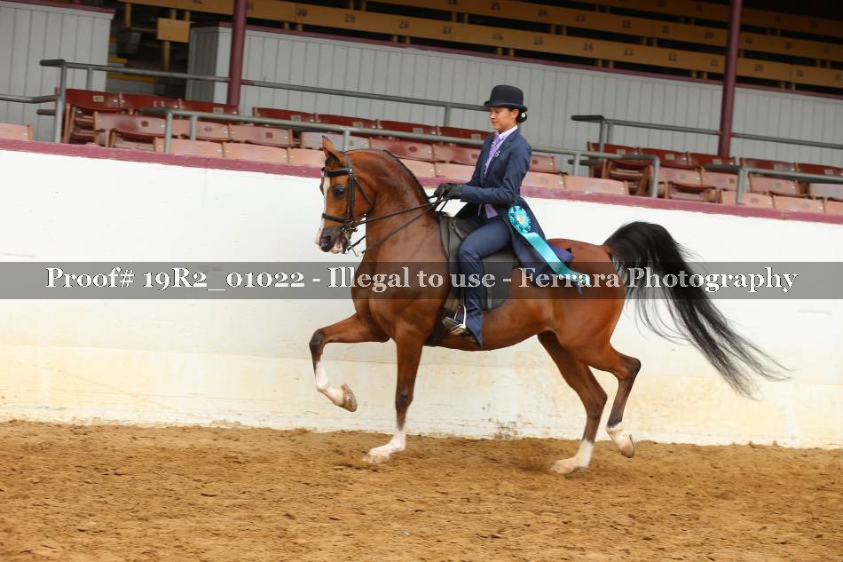 Proof 19R2_01022