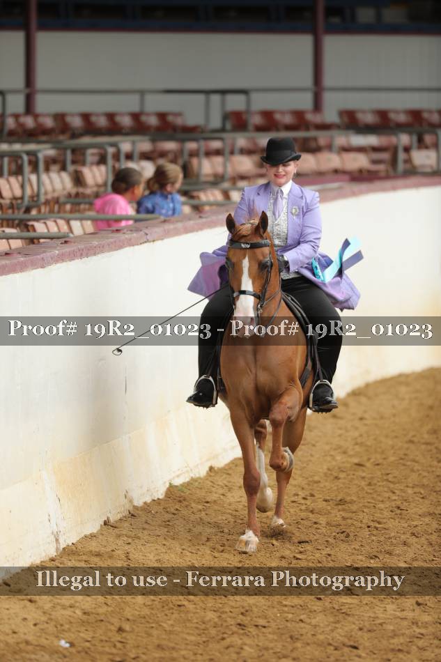 Proof 19R2_01023