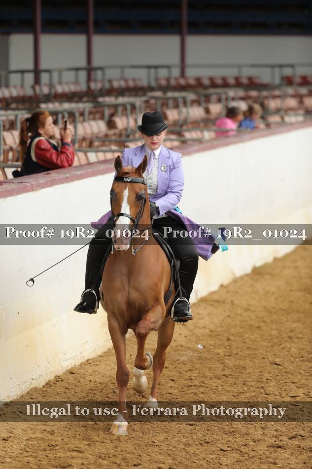 Proof 19R2_01024