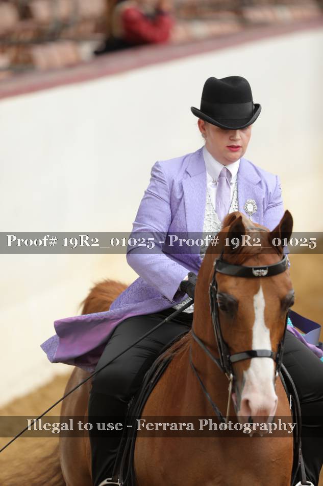 Proof 19R2_01025