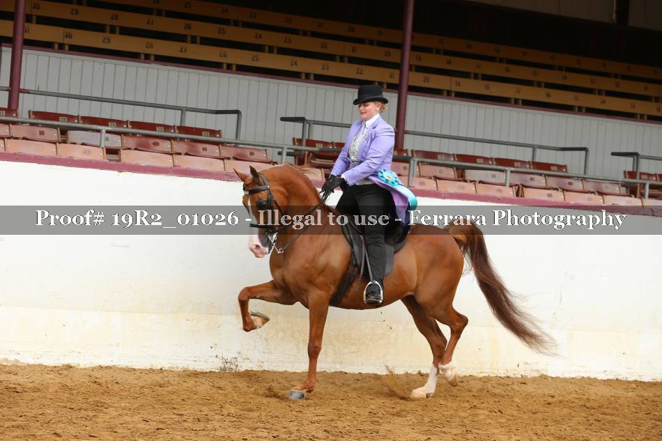 Proof 19R2_01026