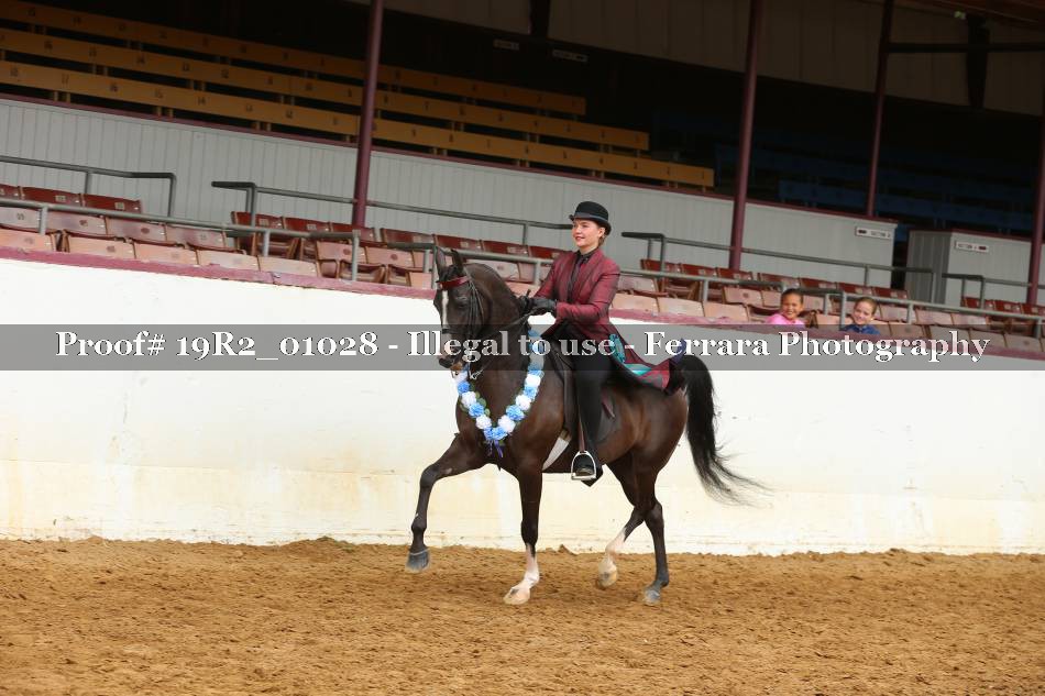 Proof 19R2_01028