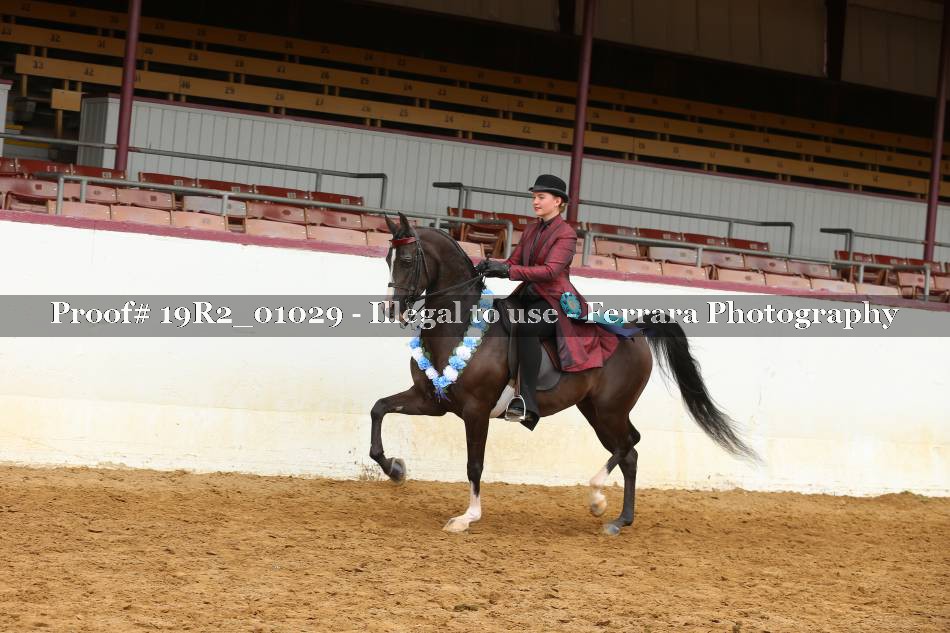 Proof 19R2_01029