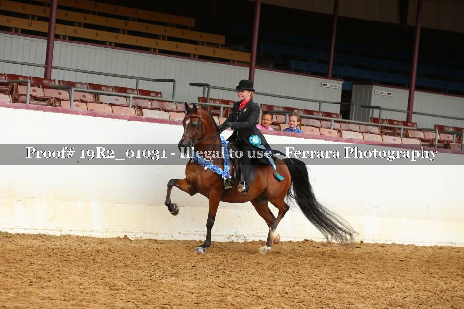 Proof 19R2_01031