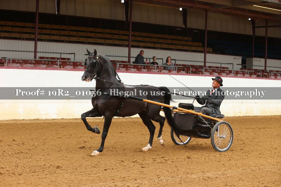 Proof 19R2_01056