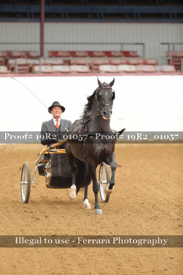 Proof 19R2_01057