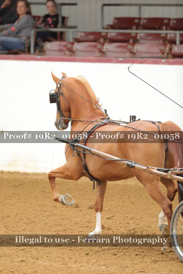 Proof 19R2_01058