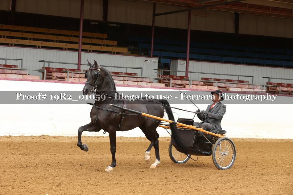 Proof 19R2_01059