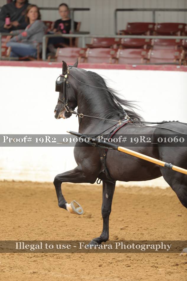Proof 19R2_01060