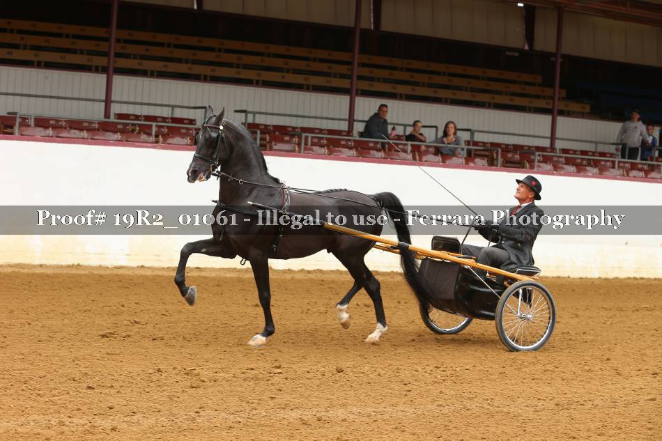 Proof 19R2_01061