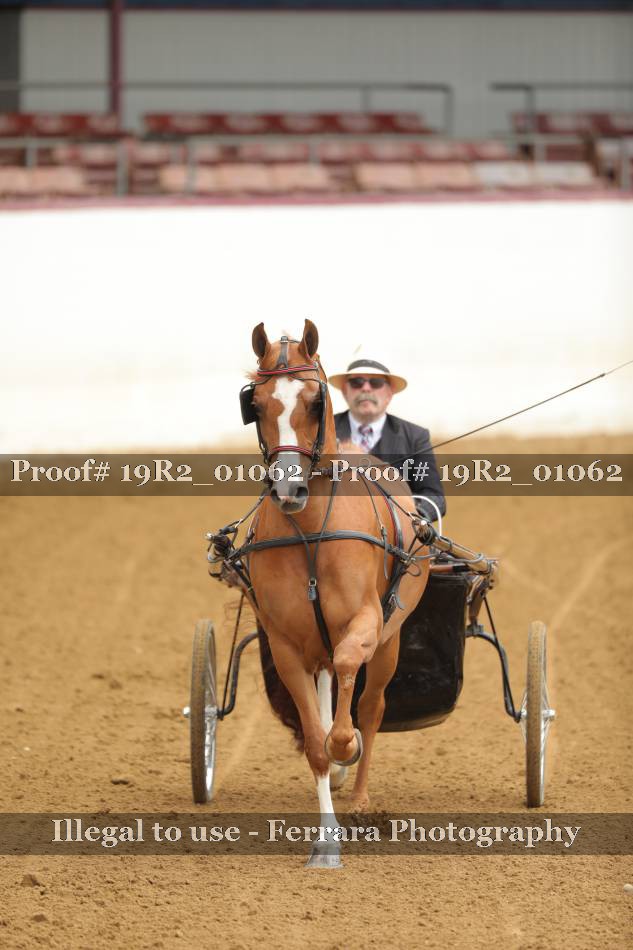 Proof 19R2_01062