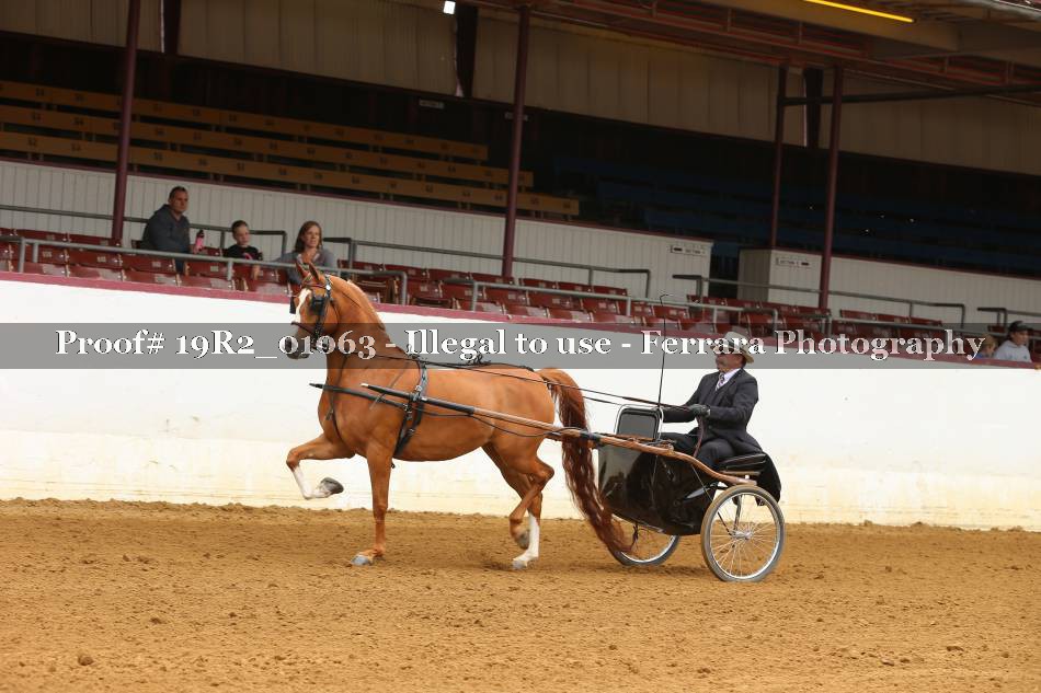 Proof 19R2_01063