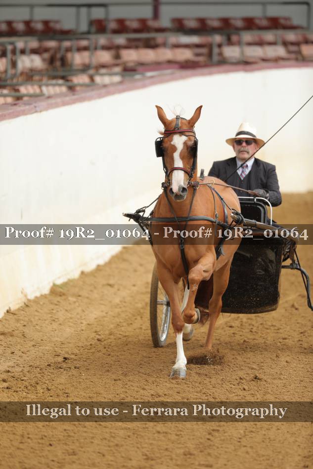Proof 19R2_01064