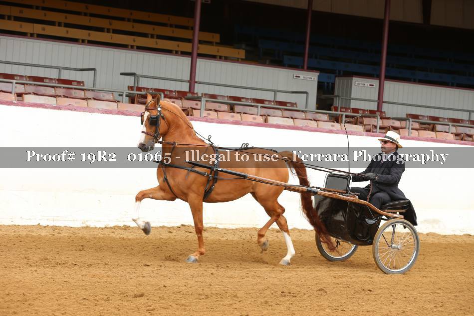 Proof 19R2_01065