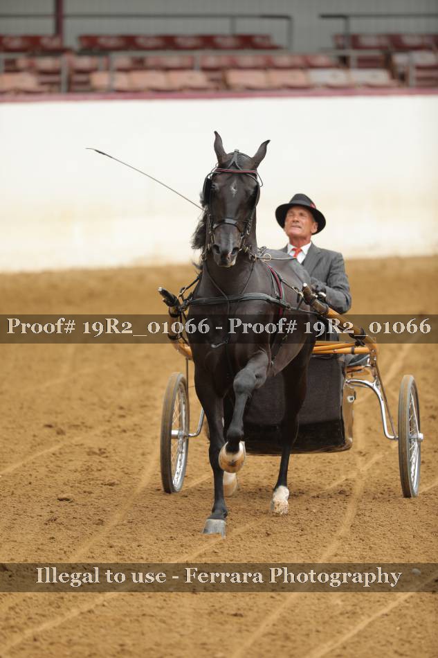 Proof 19R2_01066