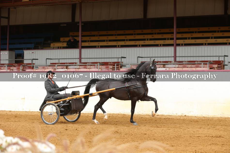 Proof 19R2_01067