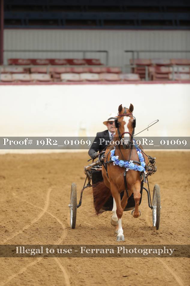 Proof 19R2_01069