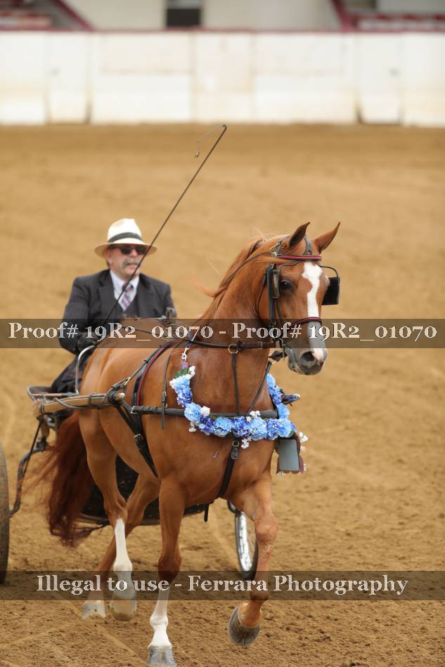 Proof 19R2_01070