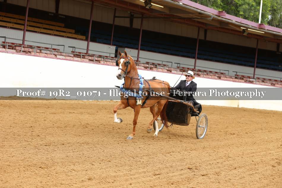 Proof 19R2_01071