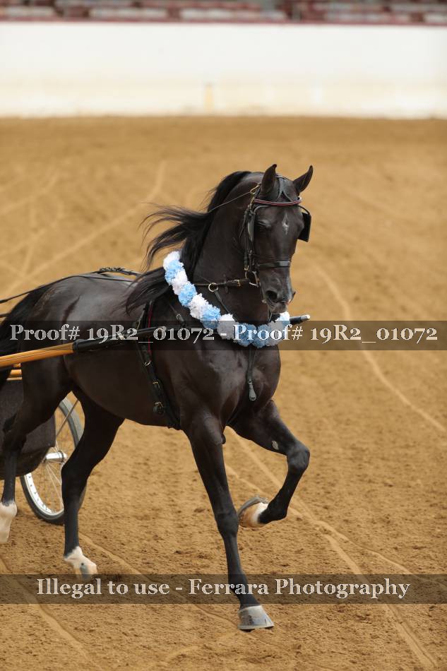 Proof 19R2_01072