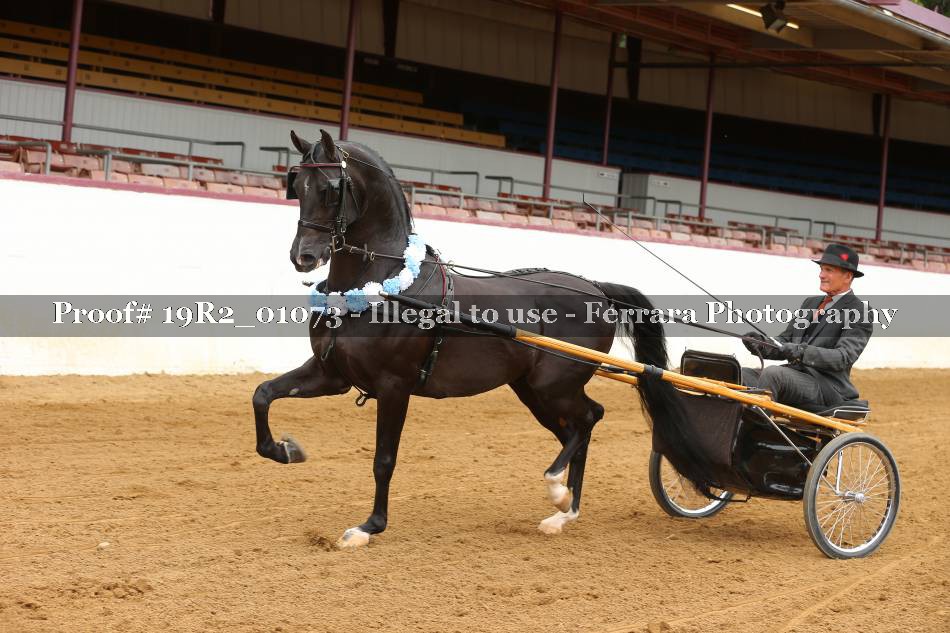 Proof 19R2_01073