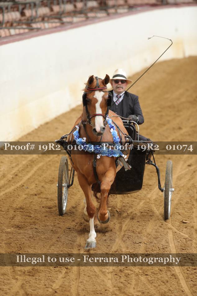 Proof 19R2_01074