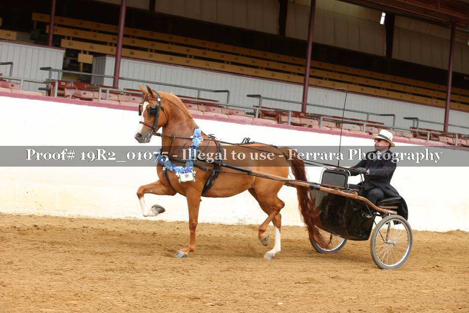 Proof 19R2_01075
