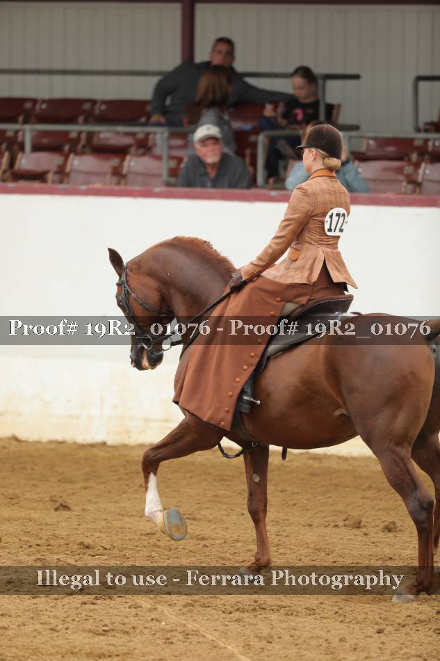 Proof 19R2_01076