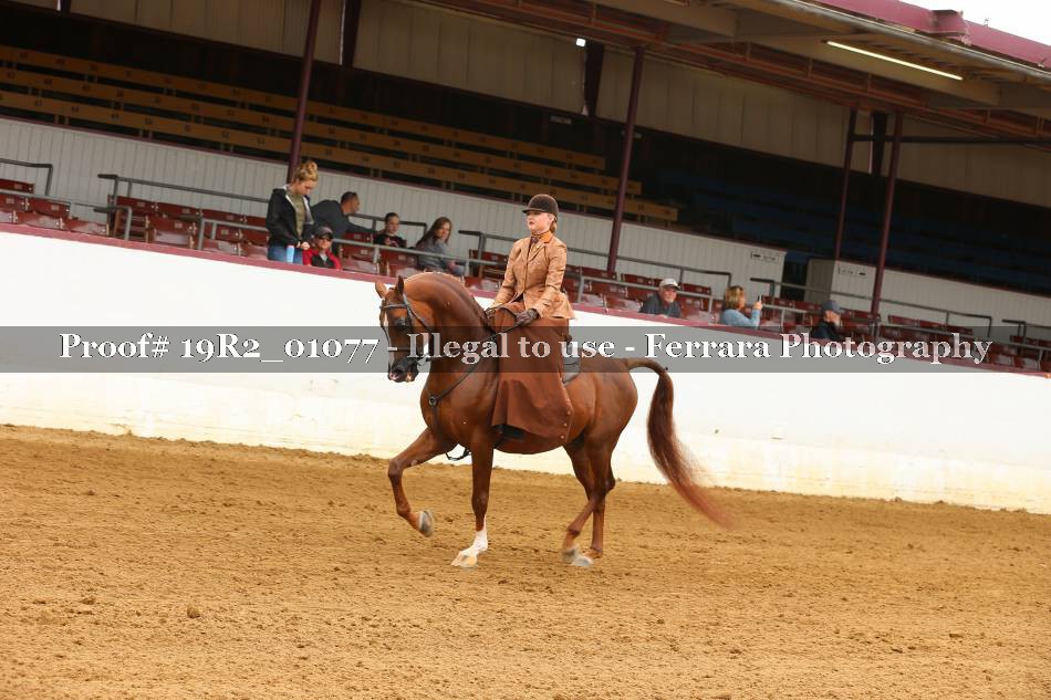 Proof 19R2_01077