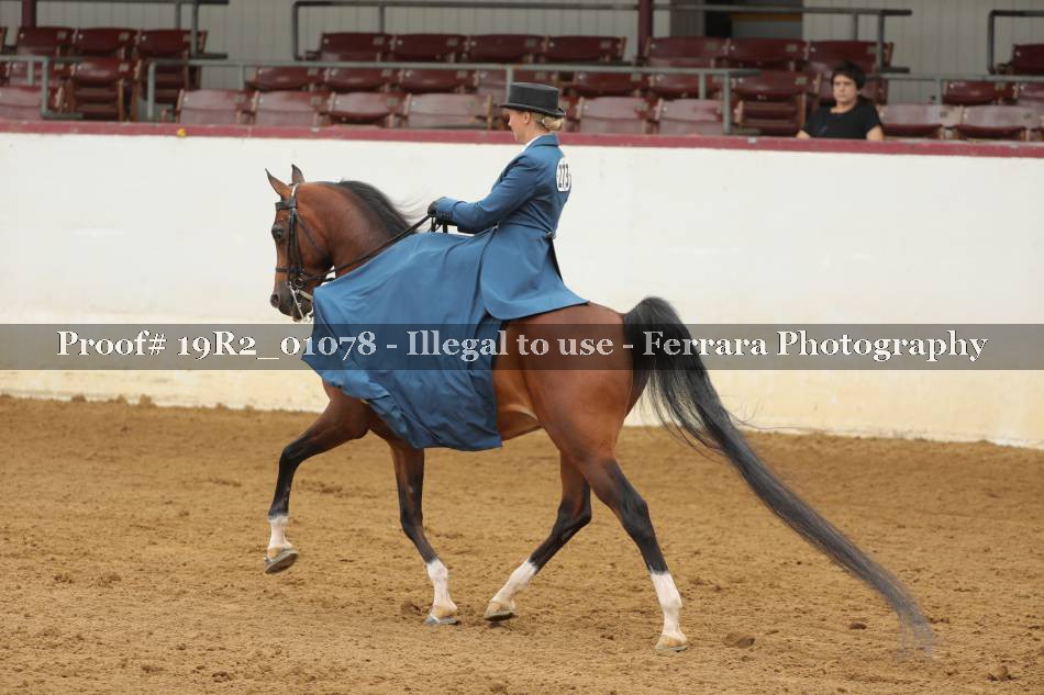 Proof 19R2_01078