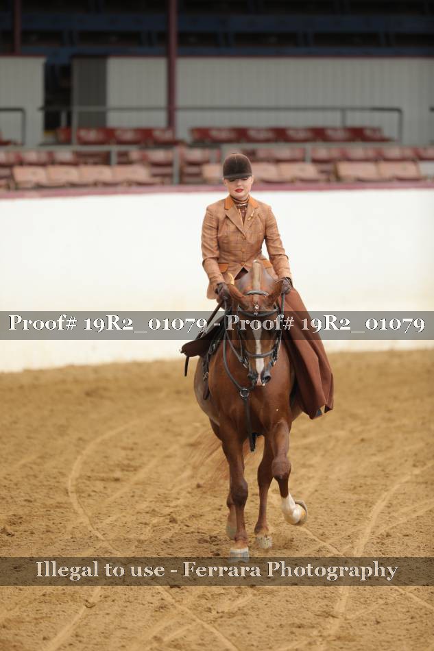 Proof 19R2_01079