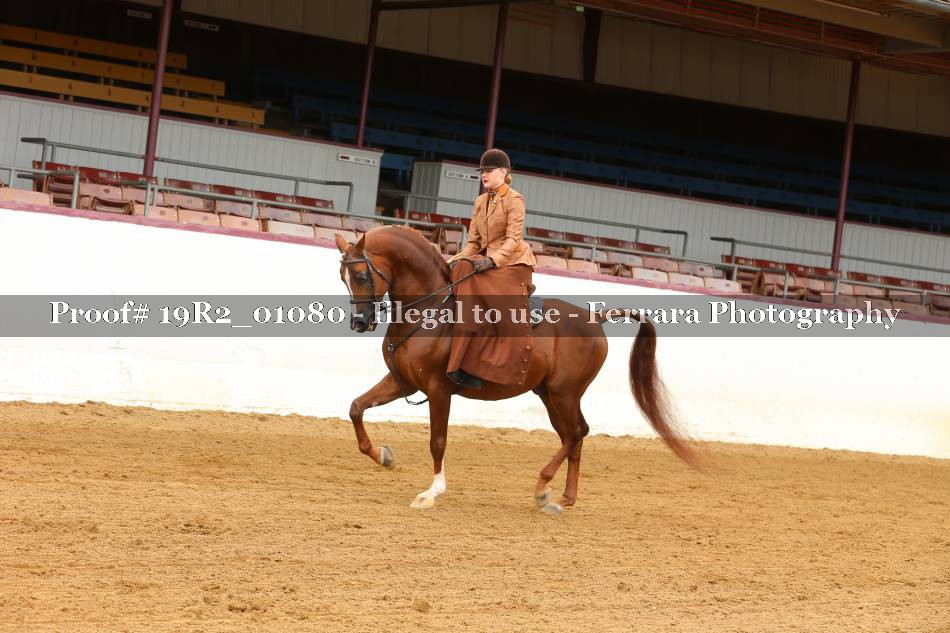 Proof 19R2_01080