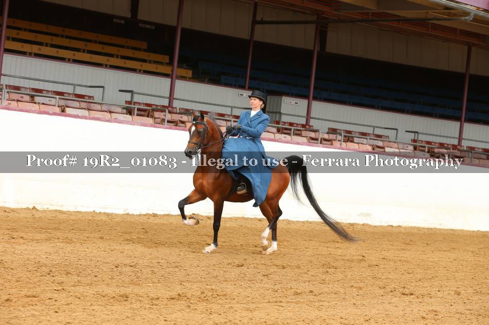Proof 19R2_01083