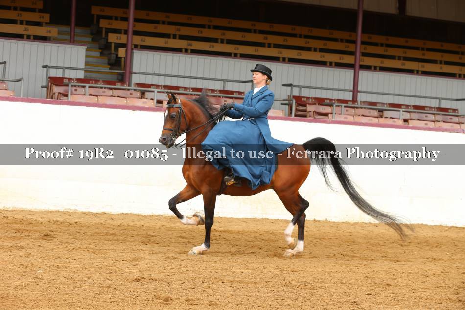 Proof 19R2_01085