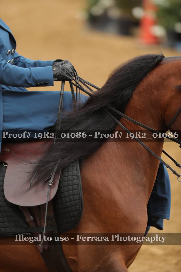 Proof 19R2_01086