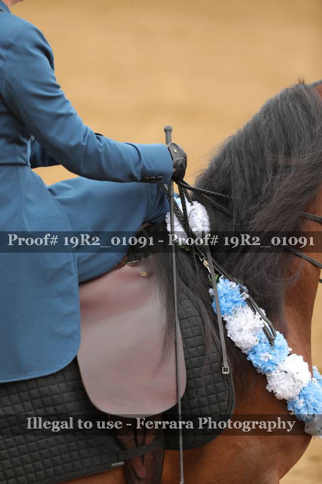 Proof 19R2_01091