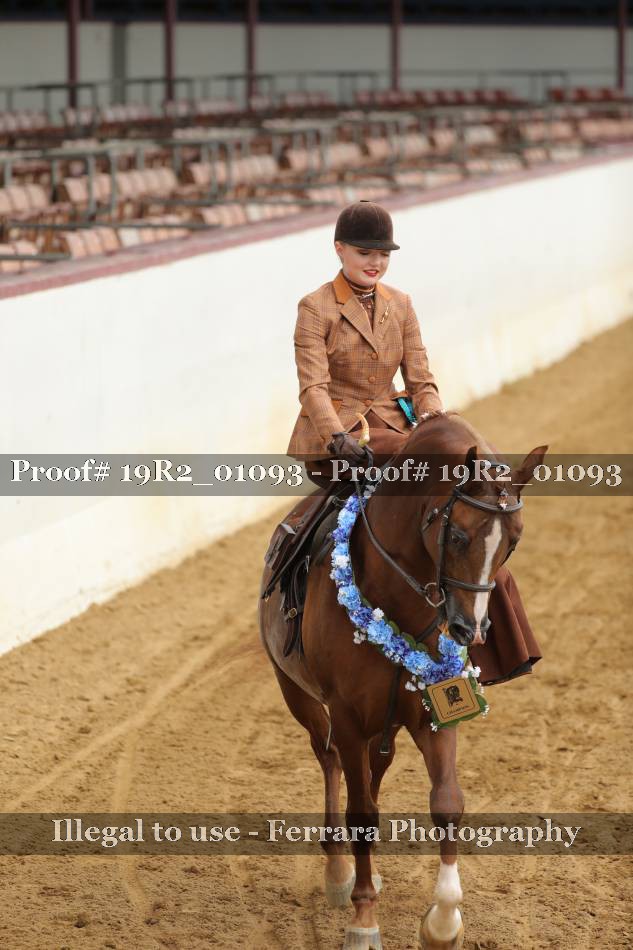Proof 19R2_01093