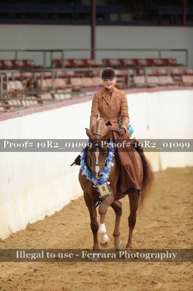 Proof 19R2_01099