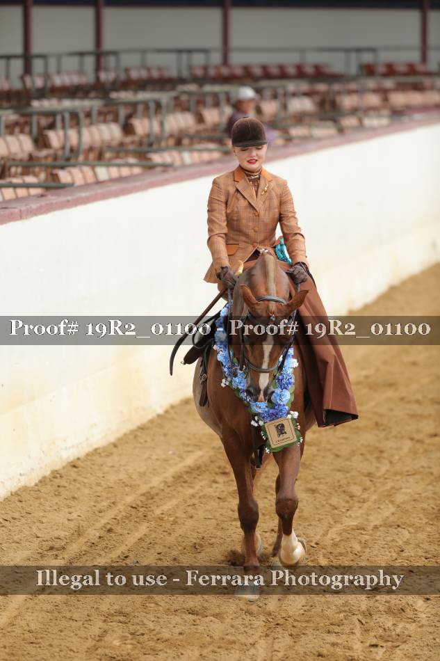 Proof 19R2_01100