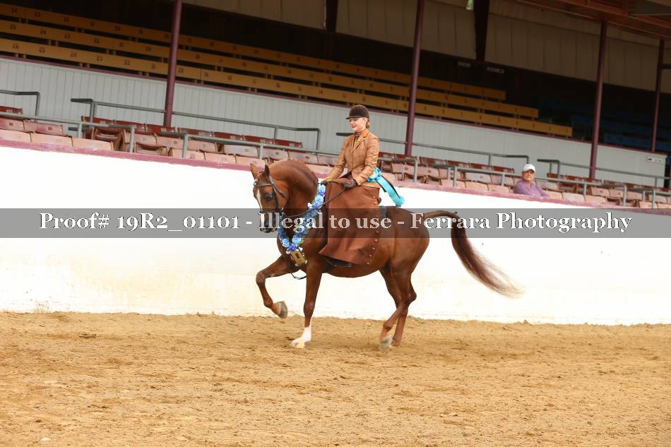 Proof 19R2_01101
