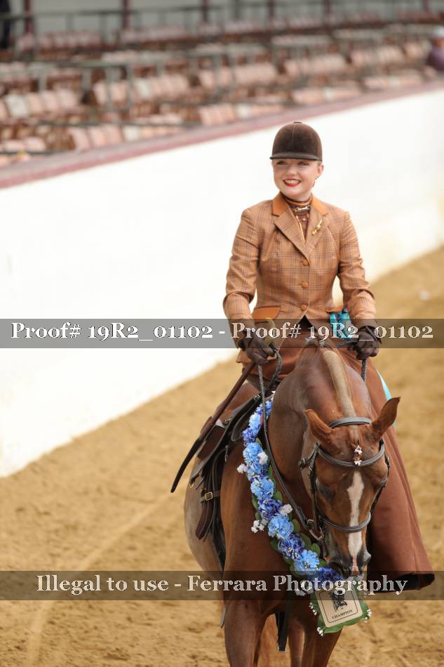 Proof 19R2_01102