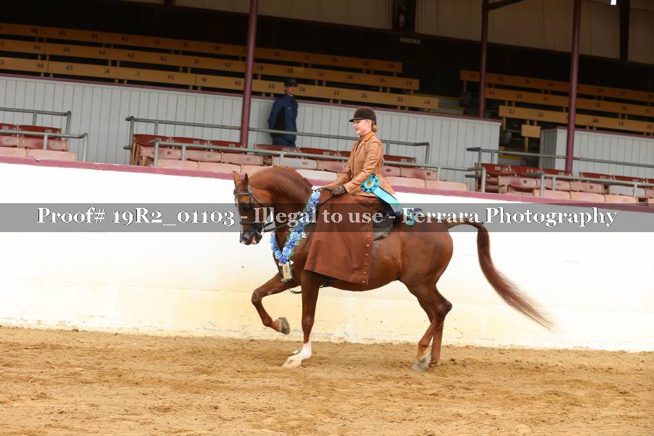 Proof 19R2_01103