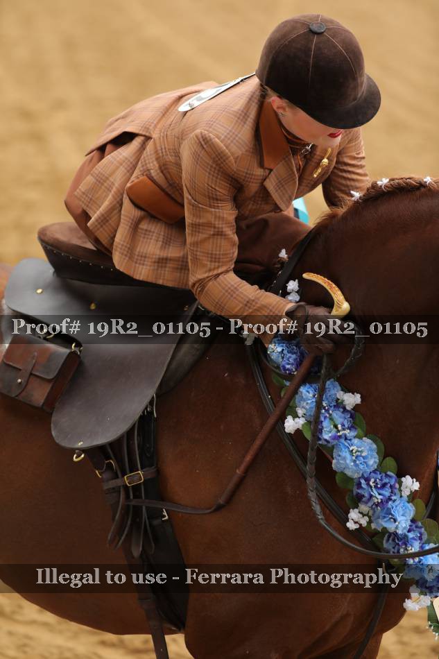 Proof 19R2_01105