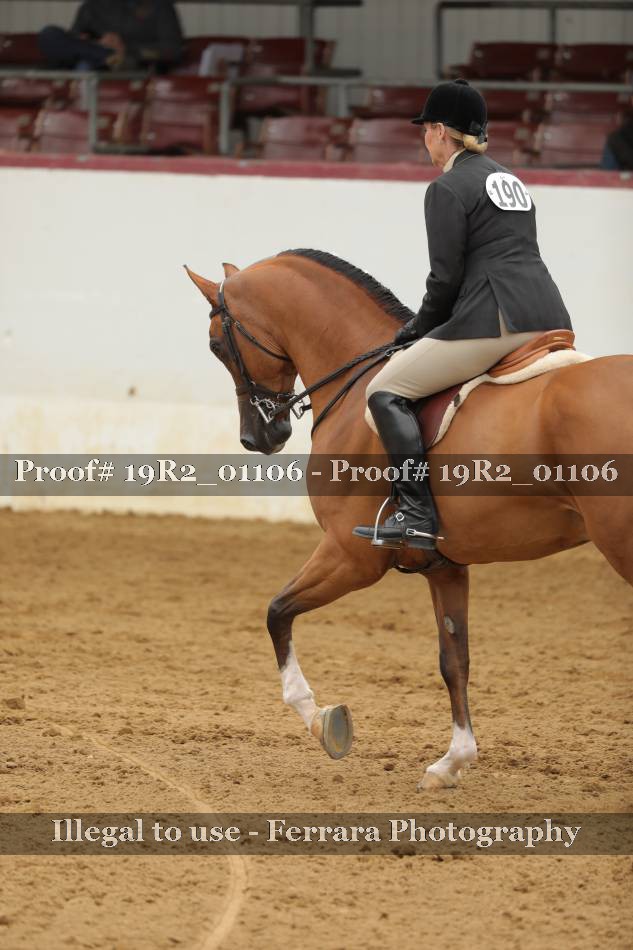 Proof 19R2_01106