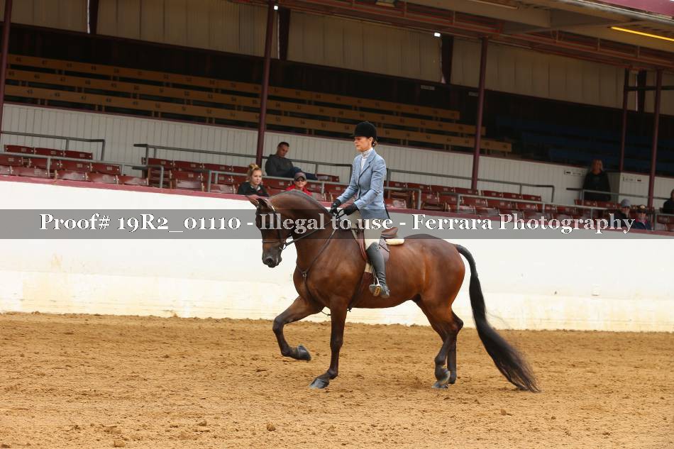 Proof 19R2_01110