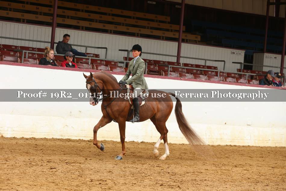 Proof 19R2_01115