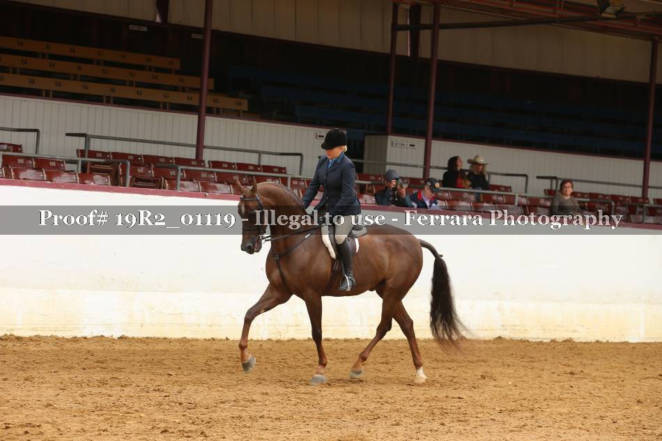 Proof 19R2_01119