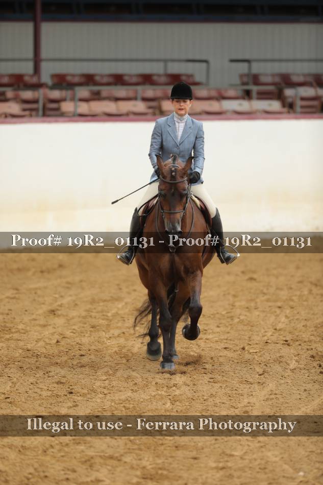 Proof 19R2_01131