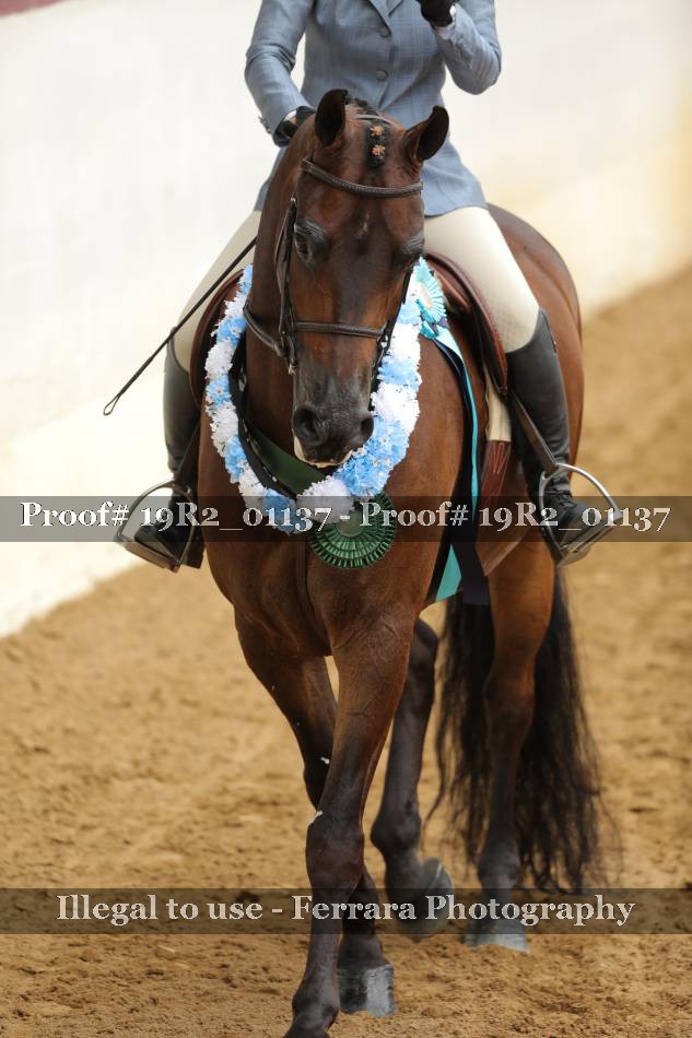 Proof 19R2_01137