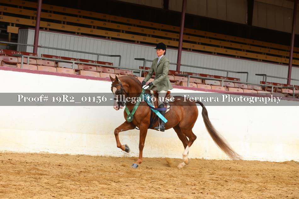 Proof 19R2_01156